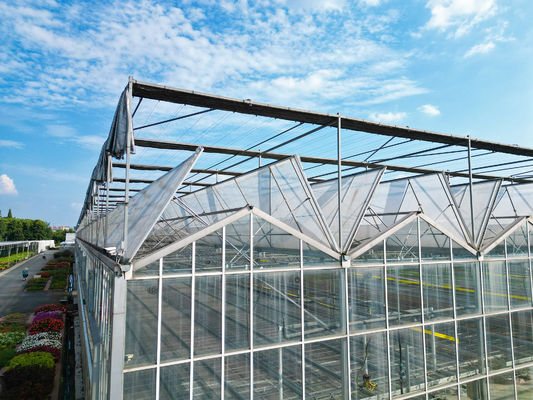 Multi Span Large Glass Greenhouse Kit Span Width 9.6m 10.8m 12m