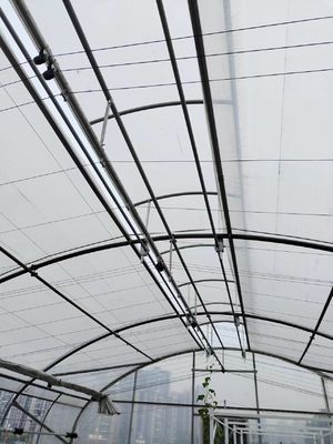 Double Layer PE Film Multi Span Film Greenhouse With Hydroponic System