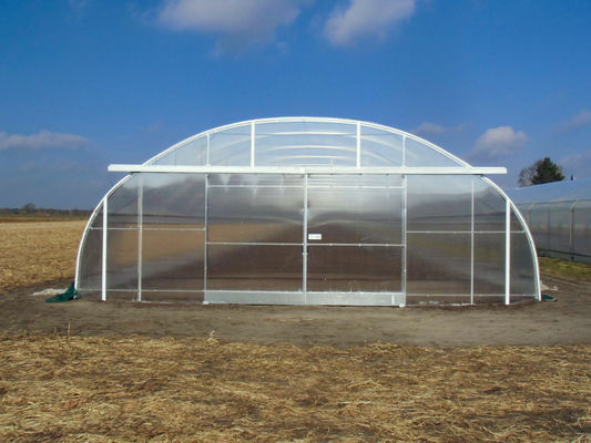 Single Span Tunnel Greenhouse Thickness 12/15/18/20 Microns