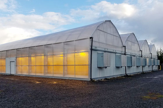 Various Sizes Light Deprivation Greenhouse with Automatic Irrigation System