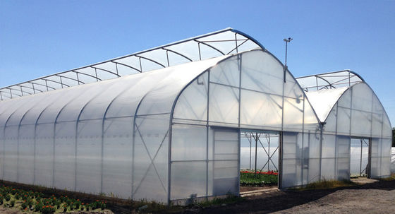 Aluminum Zinc Plating Plastic Film Greenhouse UV Protected Light Transmission Anti Aging Anti Drip