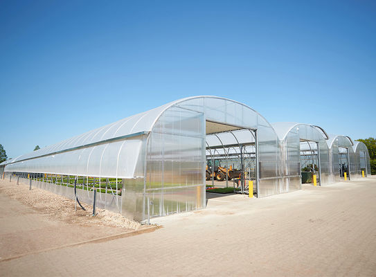 Roof Ventilation Single Tunnel Greenhouse Flower Farm Greenhouse 10*30m