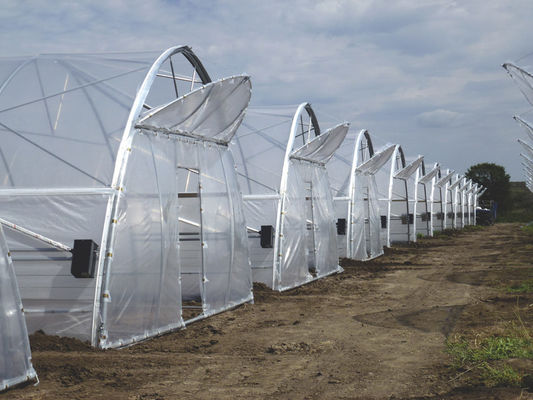 Plastic Film Tunnel Greenhouse Kit Width 6m 8m 9m For Growing Vegetables Flowers Fruits
