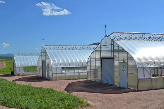 Roof Ventilation Single Tunnel Greenhouse Flower Farm Greenhouse 10*30m