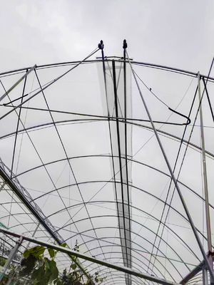 Double Layer PE Film Multi Span Film Greenhouse With Hydroponic System