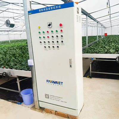 Wind Resistance Multi Span Film Greenhouse With Ventilation System