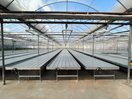 ABS Ebb And Flow Tray Greenhouse Benches Length 8ft 10ft 12ft Customized