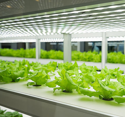 pH Control Vertical Hydroponic Growing System for Indoor Crop Production