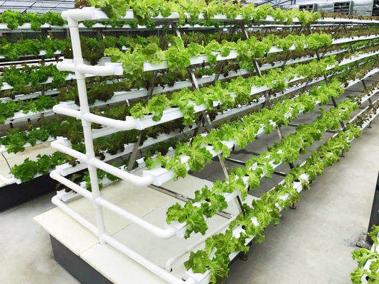pH Control Vertical Hydroponic Growing System for Indoor Crop Production