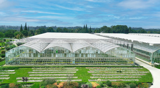Wind Resistance Multi Span Film Greenhouse With Ventilation System