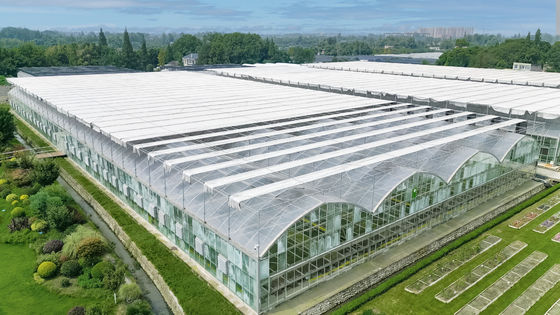Wind Resistance Multi Span Film Greenhouse With Ventilation System