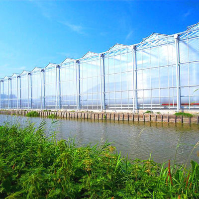 Optimize Growth with Low Maintenance and Transparent Glass Greenhouse