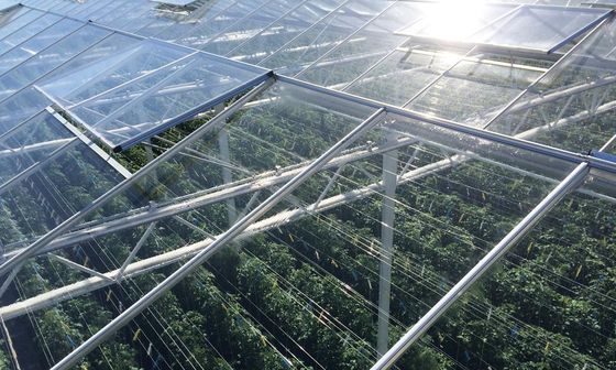Maximize Your Greenhouse Potential with Glass Enclosed Plant House
