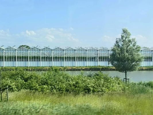 High Durability Rectangular Glass Greenhouse Transparent Design Easy Installation Wind Resistance