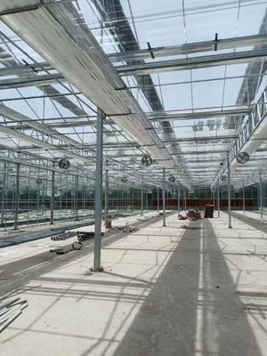Rectangular Glass Greenhouse Transparent and Durable Wind-Resistant Temperature-Resistant Water Resistant