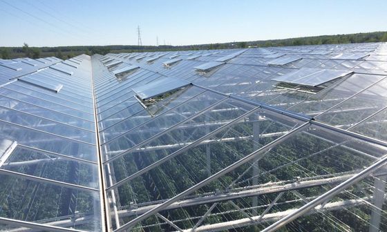 Rectangular Glass Greenhouse Transparent and Durable Wind-Resistant Temperature-Resistant Water Resistant