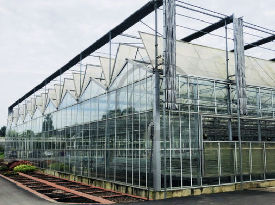 Rectangular Transparent Glass Greenhouse High Durability Wind Resistant Low Maintenance