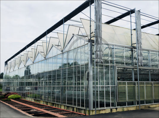 Multi Span Large Glass Greenhouse Kit Span Width 9.6m 10.8m 12m