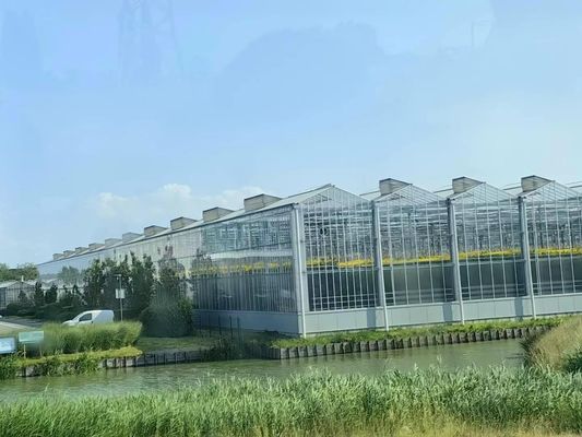 Durable Rectangular Glass Covered Greenhouse With Easy Installation Wind And Water Resistance