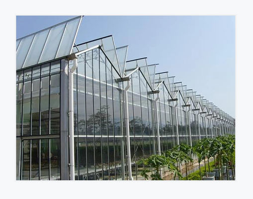 Rectangular Glass Greenhouse Transparent and Durable Wind-Resistant Temperature-Resistant Water Resistant