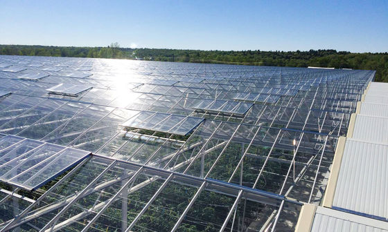 Rectangular Glass Greenhouse Transparent with UV Protection Water Resistance Low Maintenance Wind Resistant