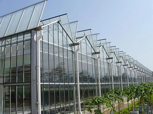 Multi Span Large Glass Greenhouse Kit Span Width 9.6m 10.8m 12m