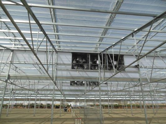 Multi Span Plastic Film Greenhouse 10X30m With Zinc Coating Frame