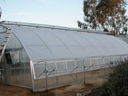 Optimize Plant Growth with Temperature Resistance -40C To 70C Plastic Film Greenhouse
