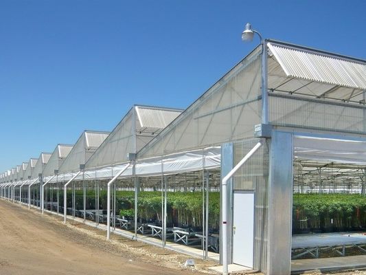 Multi Span Plastic Film Greenhouse 10X30m With Zinc Coating Frame