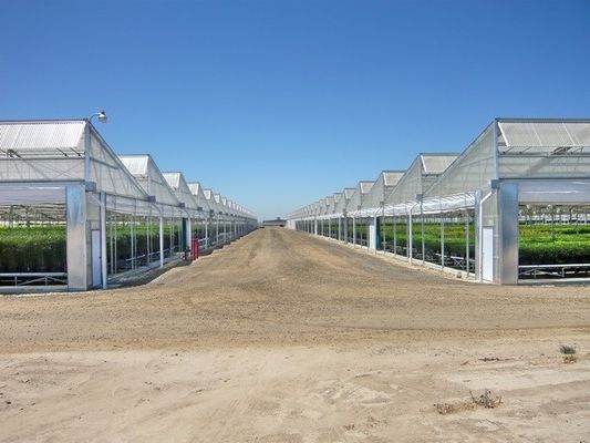 Saw Tooth Greenhouse 4 Seasons Green House With Heating System