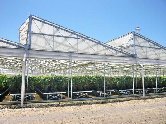 Multi Span Plastic Film Greenhouse 10X30m With Zinc Coating Frame