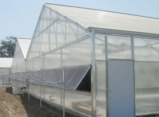 Transparent UV Resistant Plastic Film Greenhouse with Anti Fog Aluminum Zinc Plating Pipes