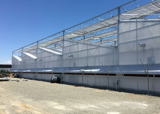 Multi Span Plastic Film Greenhouse 10X30m With Zinc Coating Frame