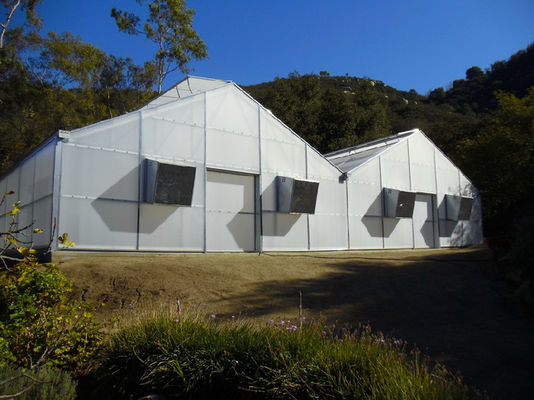 20%-90% Shading Rate Plastic Film Greenhouse The Smart Choice for Your Farming Needs