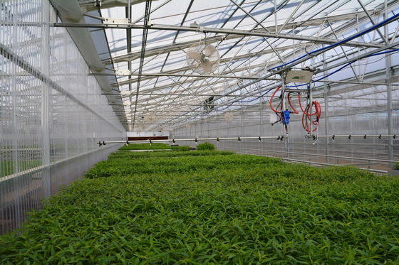 20%-90% Shading Rate Plastic Film Greenhouse The Smart Choice for Your Farming Needs