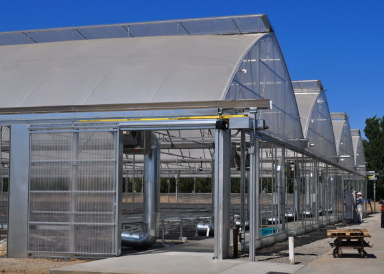 Anti-Fog Plastic Film Greenhouse for Optimal UV Protection and Performance