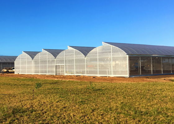 Optimize Plant Growth with Temperature Resistance -40C To 70C Plastic Film Greenhouse