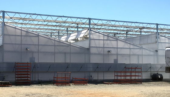 Plastic Film Greenhouse Structure For Optimal Shading And Wind Resistance