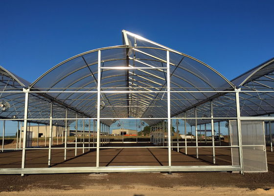 Plastic Film Greenhouse Structure For Optimal Shading And Wind Resistance