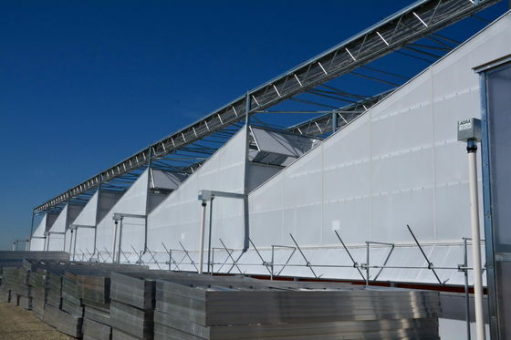 Plastic Film Greenhouse Structure For Optimal Shading And Wind Resistance
