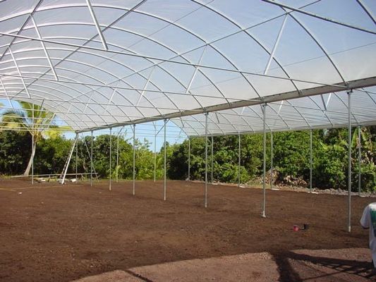 PE Plastic Film Strawberry Plant Greenhouse With Hydroponics System