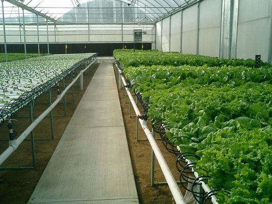 ABS Ebb And Flow Tray Greenhouse Benches Length 8ft 10ft 12ft Customized