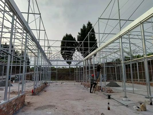 PE Plastic Film Strawberry Plant Greenhouse With Hydroponics System