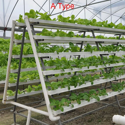 Hydroponic System Indoor Garden Tower With LED / Fluorescent / HID Lighting