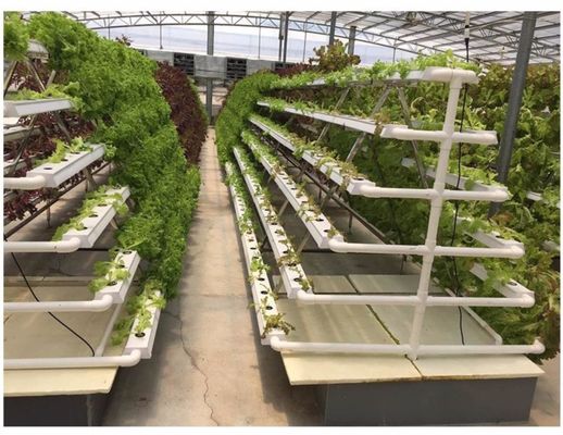 LED Hydroponic System With Automatic Watering Rockwool Grow Medium Manual PH Control