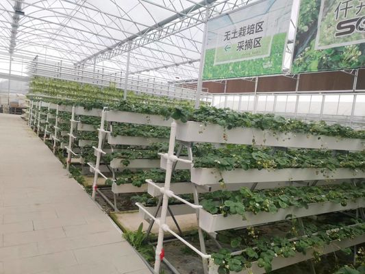 Hydroponic System Indoor Garden Tower With LED / Fluorescent / HID Lighting