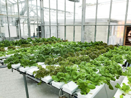 Manual CO2 Control Hydroponic Growing System For Nutrient Delivery Drip And Ebb And Flow