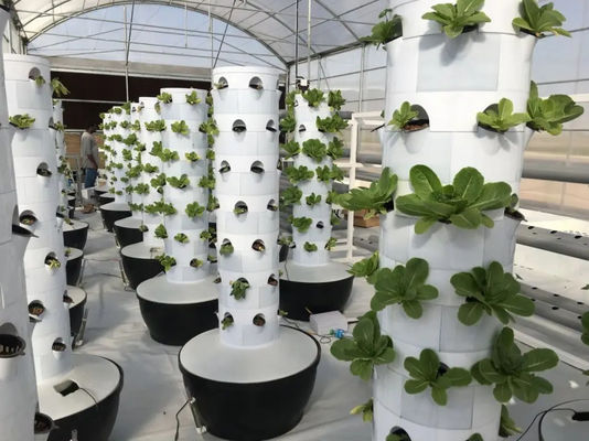 Customized Length Greenhouse Benches with Modern Design Option