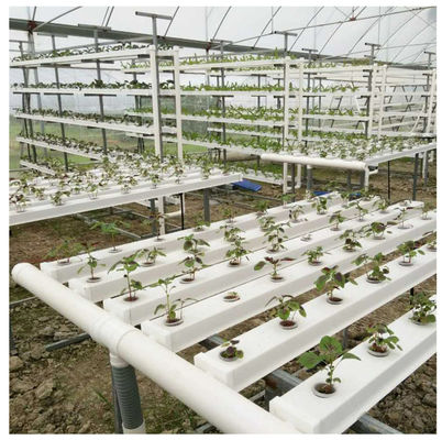 Customized Length Greenhouse Benches with Modern Design Option