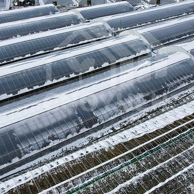 Transparent Solar Greenhouse With High Rain Resistance For Optimal Crop Growth